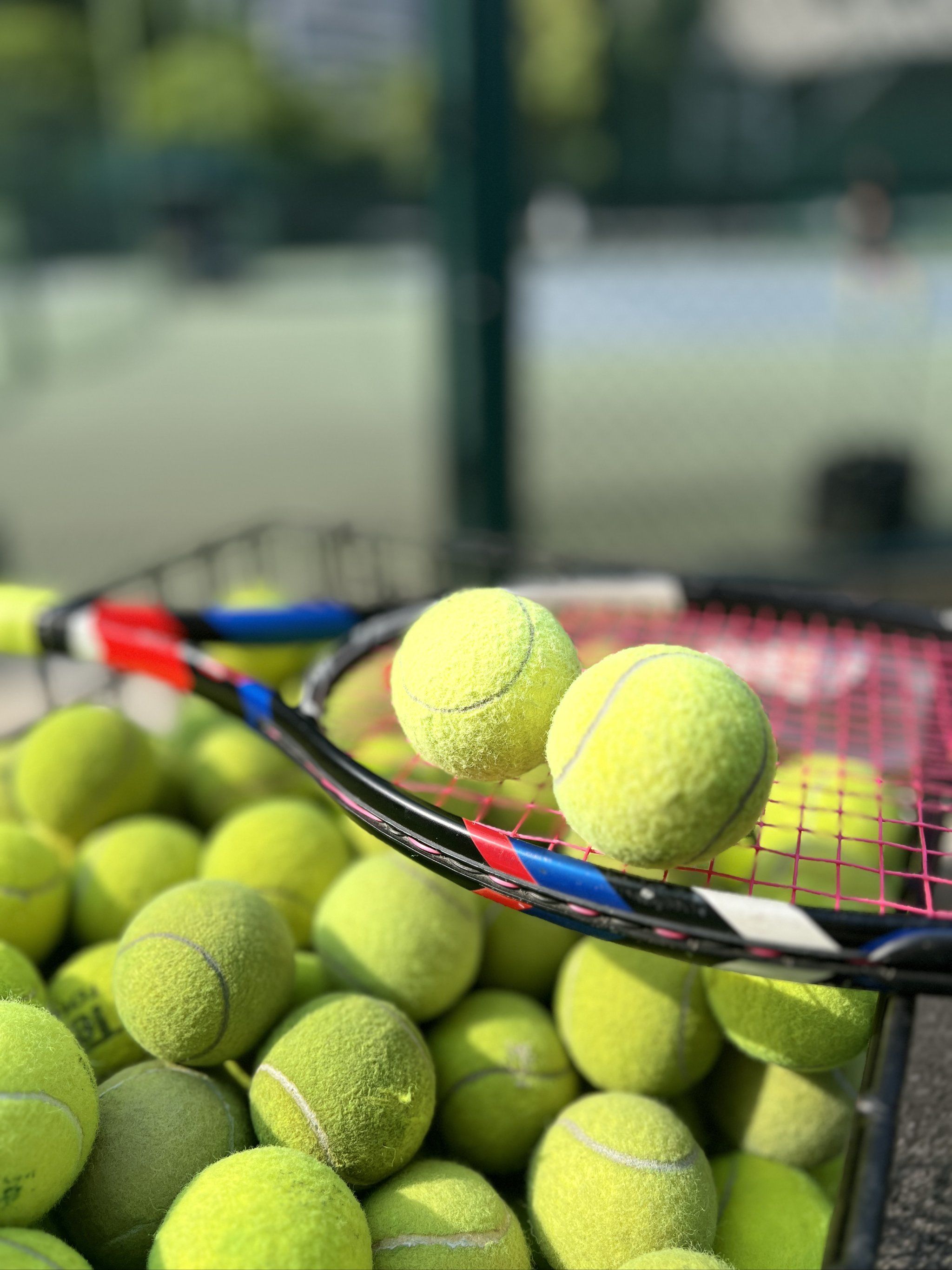 青训的成果 青训的成果